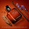 Emporio Armani Stronger With You Absolutely 100ml - парфюм за мъже